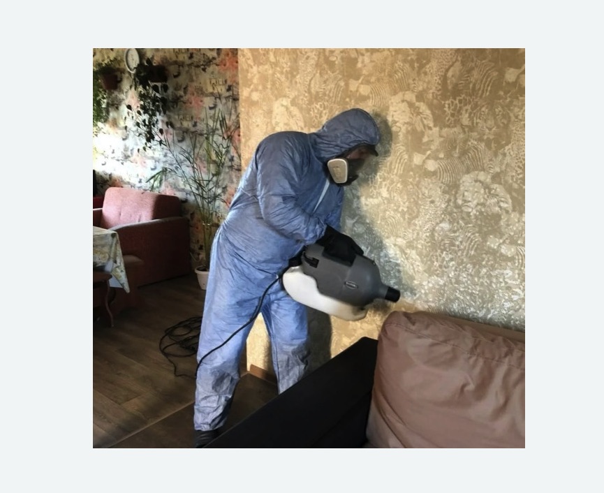 Уничтожение блох в квартире. Алексин Уничтожение блох в квартире